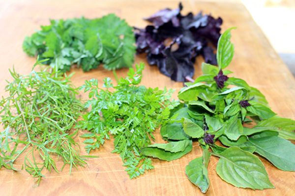 A selection of herb pickings laid out on a timber bench.