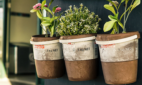 Three old and dirty Nutella buckets used as hanging herb pots.